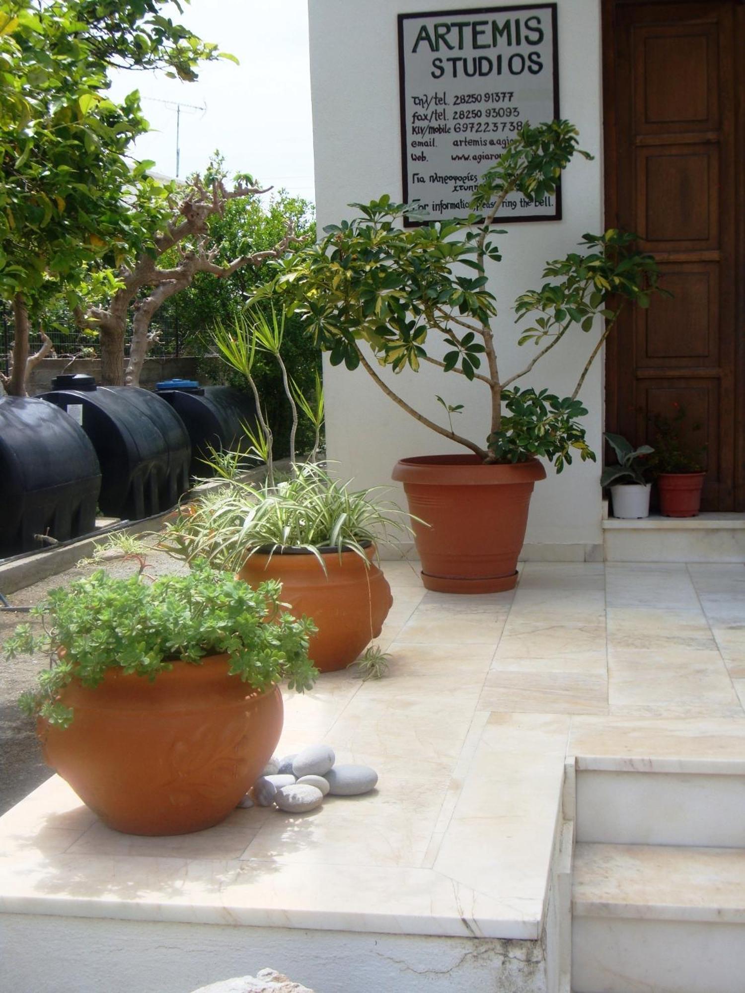 Artemis Studios Agia Roumeli Exterior photo