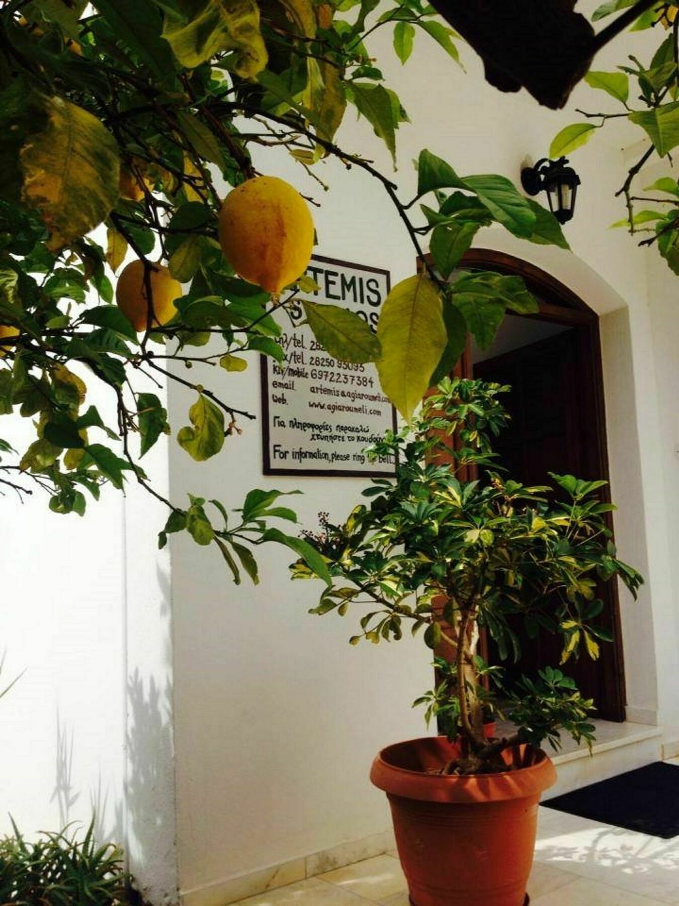 Artemis Studios Agia Roumeli Exterior photo